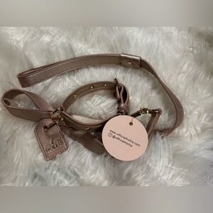 Hollis Dog Collar & Leash NWT rose gold